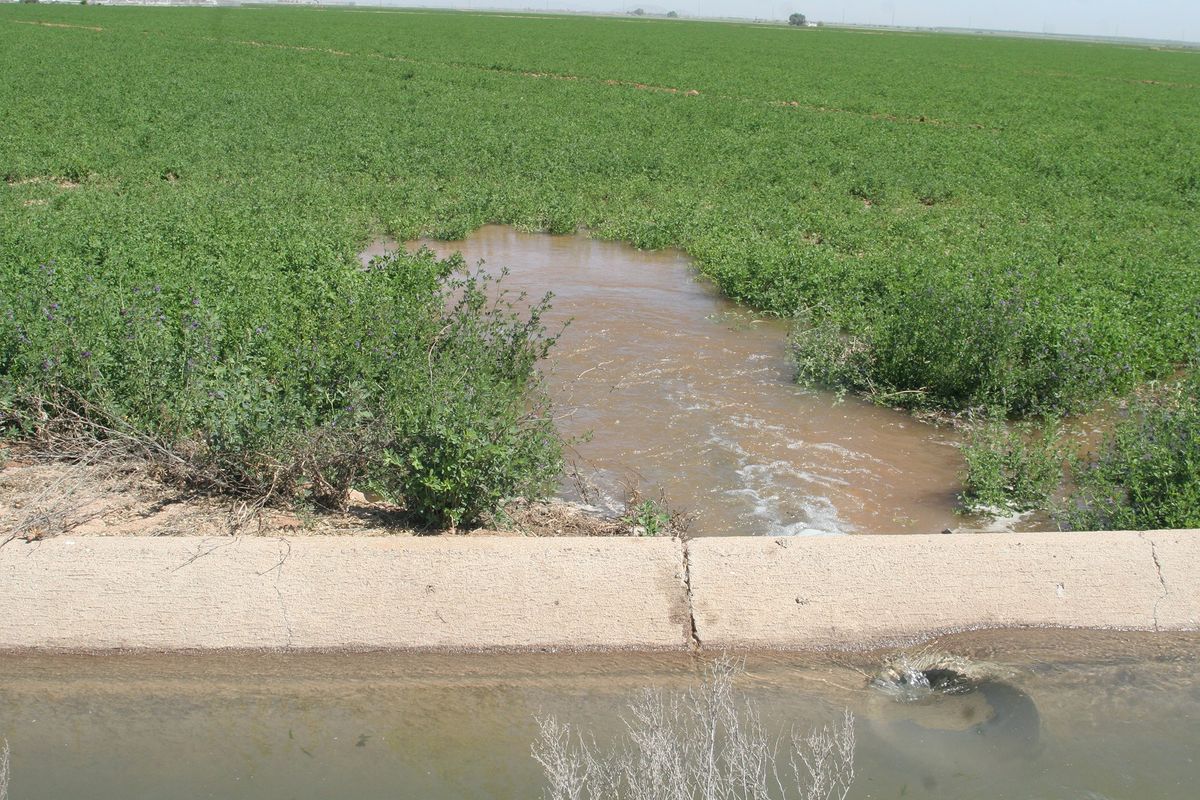 Watering Systems