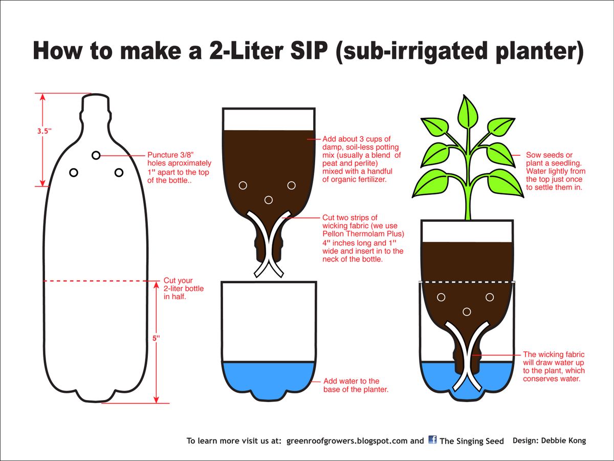 Watering Techniques for Seeds