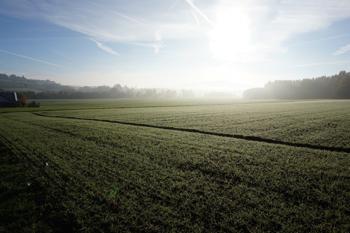 Organic Cultivation